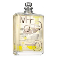 ESCENTRIC MOLECULES Molecule 01 + Ginger ЕВРОПАРФЮМ (U) 100 ml edt