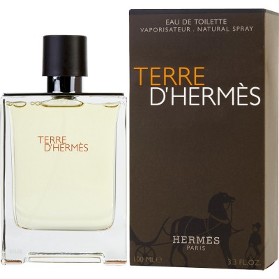 Hermes Terre D'Hermes (M) 100 ml edt